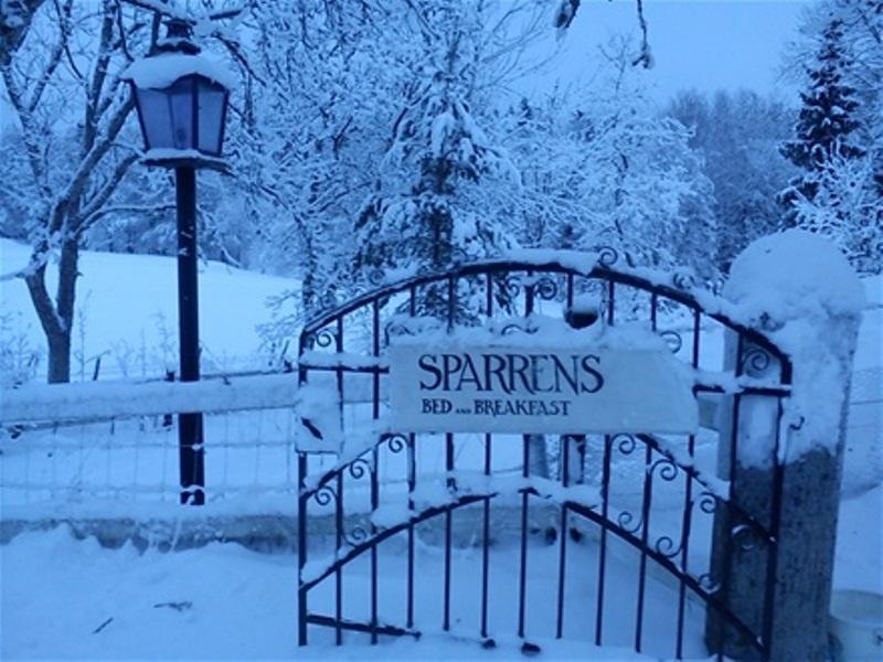 Fiskesa Sparrens Bed And Breakfast المظهر الخارجي الصورة